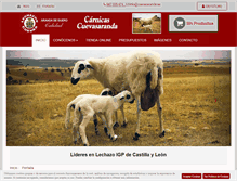Tablet Screenshot of cuevasaranda.com